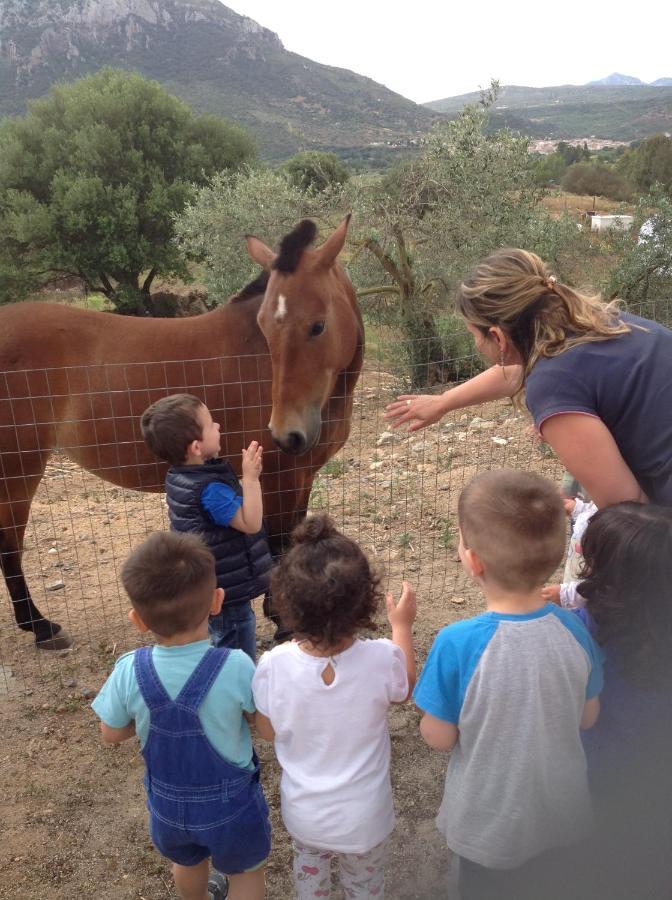 Agriturismo Funtan'Arva Loculi Luaran gambar